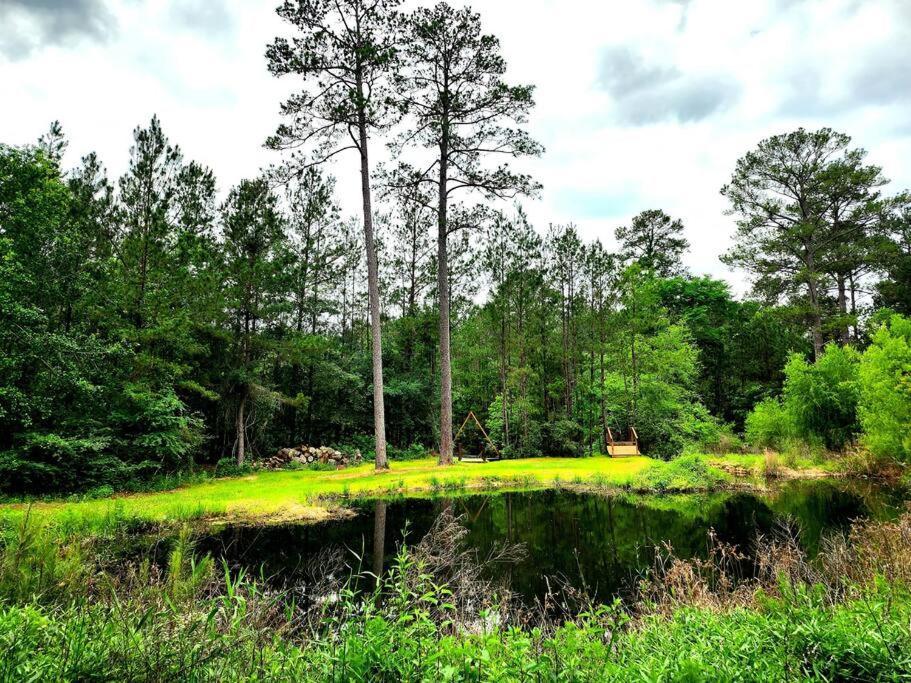 Waterfront Treehouse In A Magical Forest Waller Exterior foto